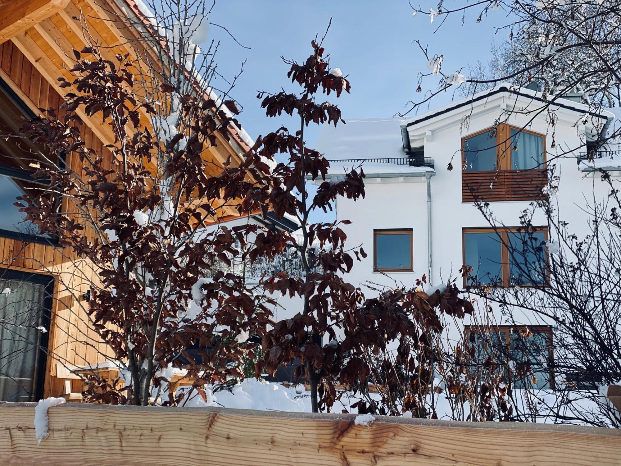 Schlossquelle Koenigsdorf Konigsdorf Dış mekan fotoğraf